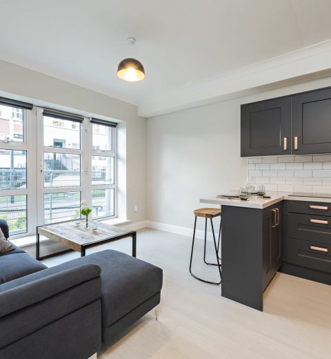 1 Bed Apartment Waterside, Grand Canal Dock